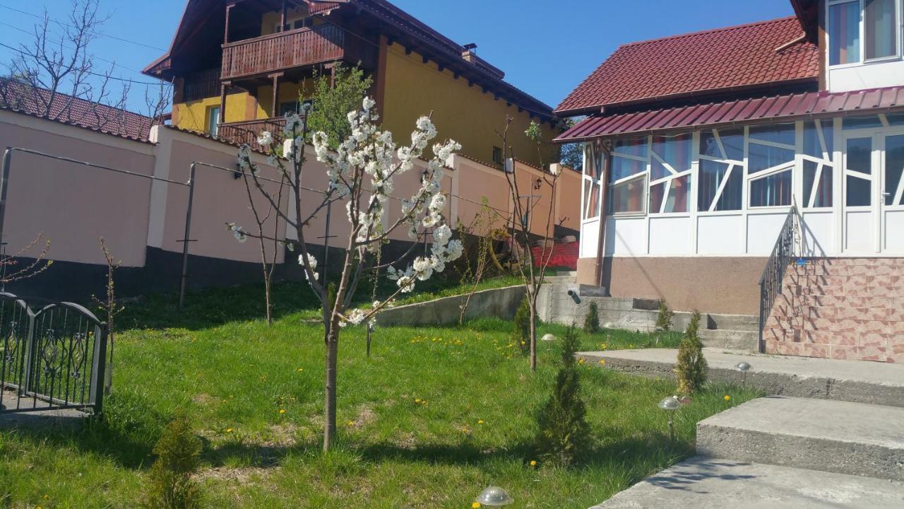 Casele Lena Bed and Breakfast Aldesti  Exterior foto